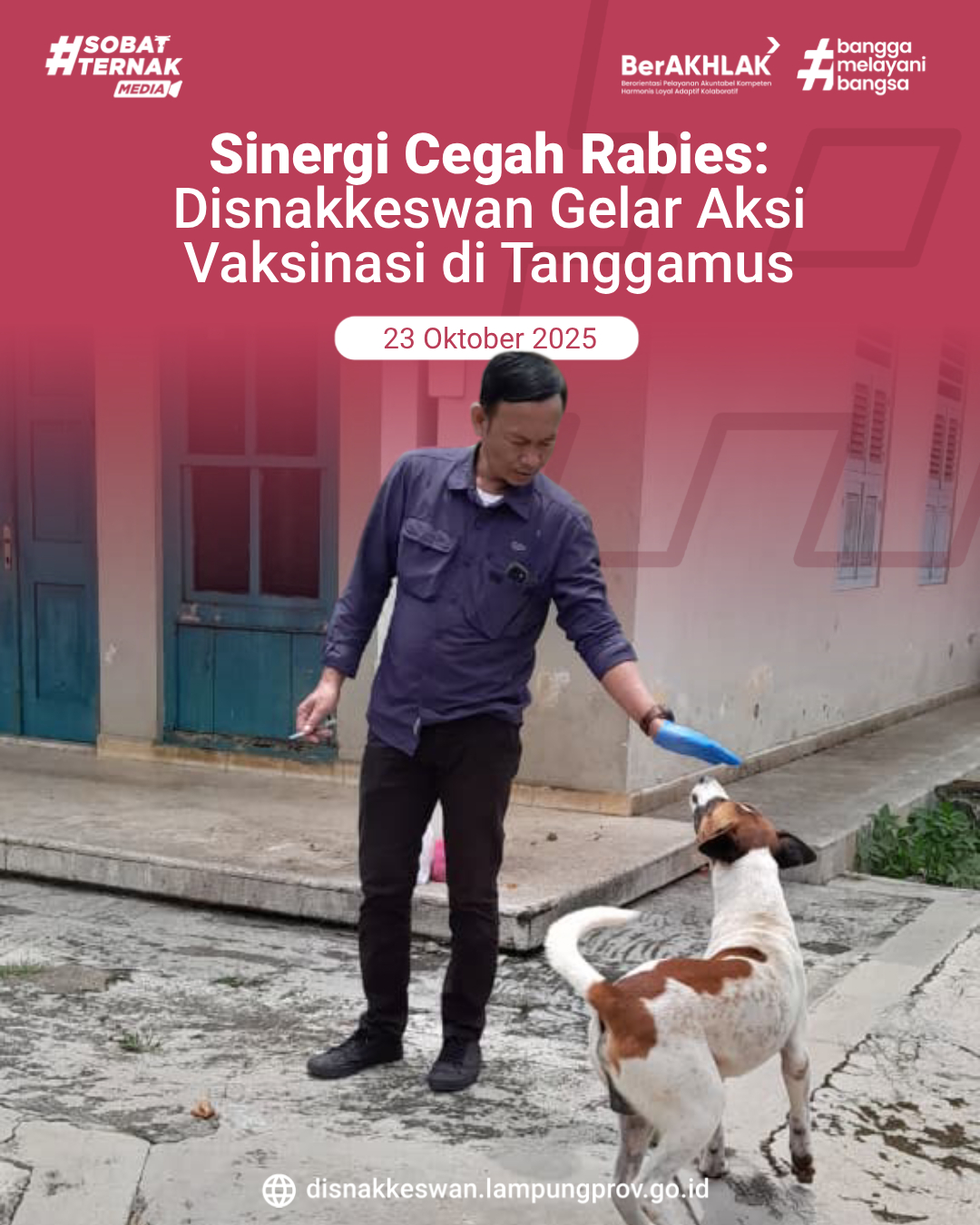Sinergi Cegah Rabies: Disnakkeswan Gelar Aksi Vaksinasi di Tanggamus