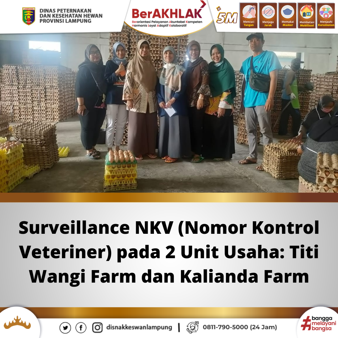 Surveillance NKV pada 2 Unit Usaha: Titi Wangi Farm dan Kalianda Farm