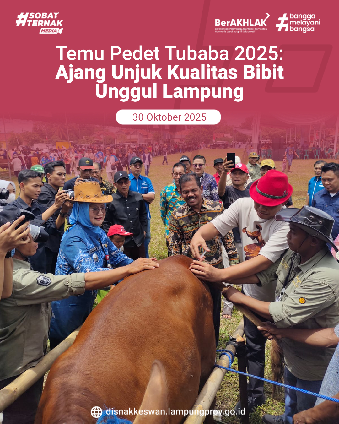 Temu Pedet Tubaba 2025: Ajang Unjuk Kualitas Bibit Unggul Lampung